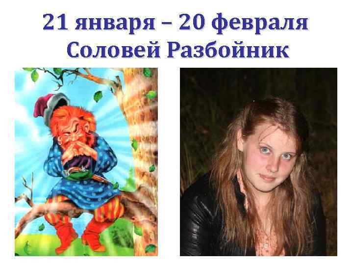 21 января – 20 февраля Соловей Разбойник 