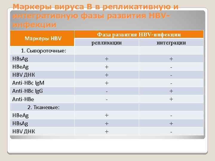 Маркеры вируса В в репликативную и интегративную фазы развития HBVинфекции Маркеры HBV 1. Сывороточные: