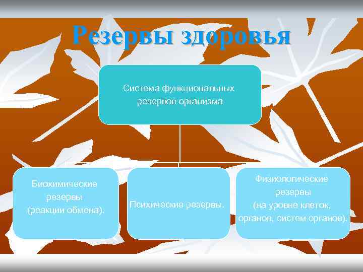 Резервы здоровья Система функциональных резервов организма Биохимические резервы (реакции обмена). Психические резервы. Физиологические резервы