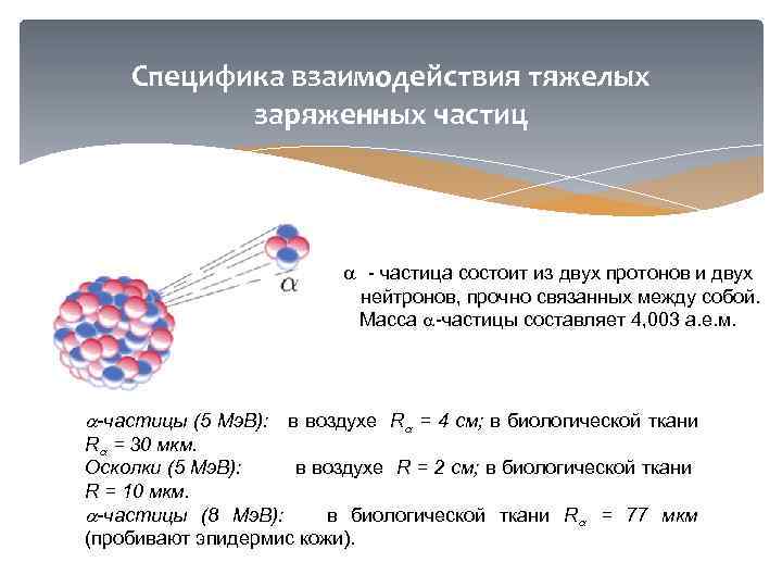 Из чего состоят частицы