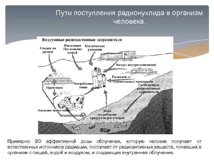 Пути прихода