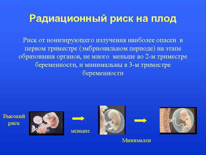 Опасные недели беременности. Влияние радиации на эмбрион. Эмбрион первый триместр. Воздействие радиации на эмбрион. Влияние ионизирующего излучения на плод.