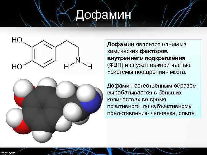 Дофамин является одним из химических факторов внутреннего подкрепления (ФВП) и служит важной частью «системы