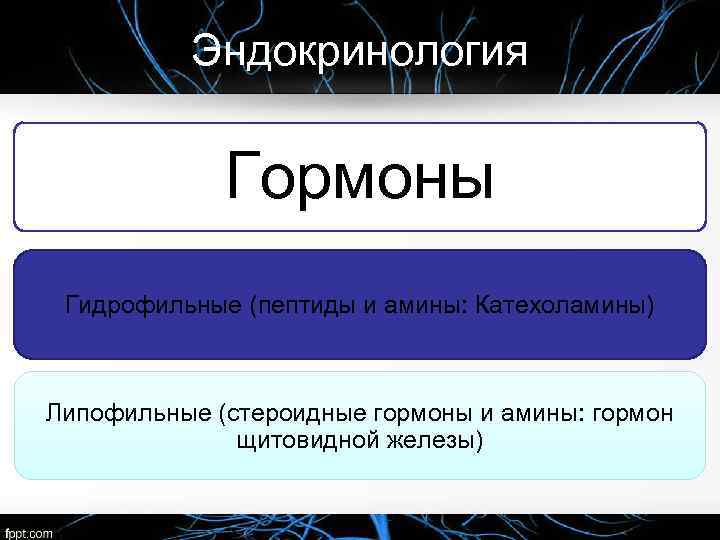 Эндокринология Гормоны Гидрофильные (пептиды и амины: Катехоламины) Липофильные (стероидные гормоны и амины: гормон щитовидной