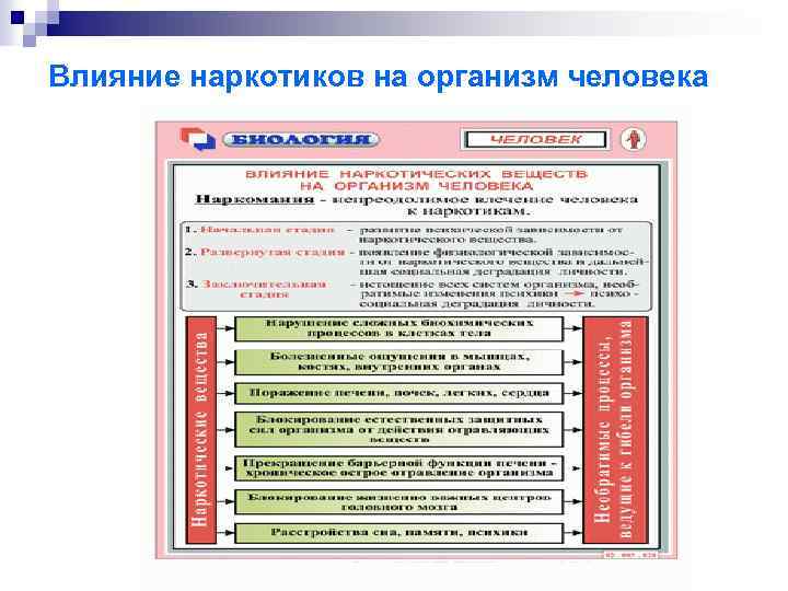 Влияние наркотиков на организм человека 