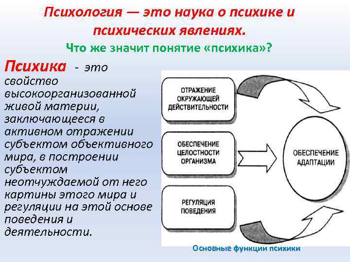 Психология — это наука о психике и психических явлениях. Что же значит понятие «психика»