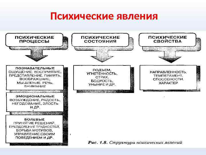 Психические явления 