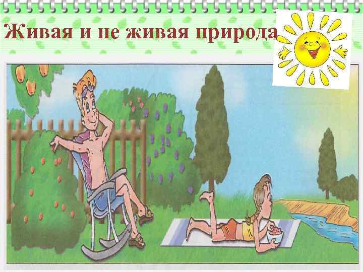 Живая и не живая природа 