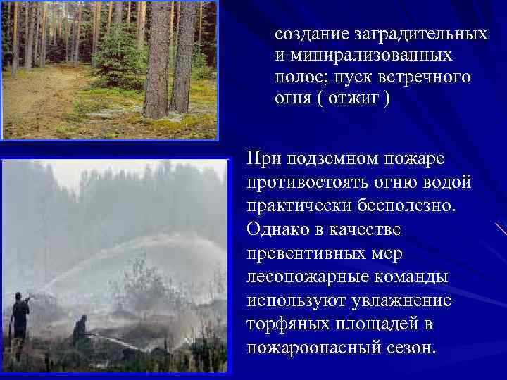 создание заградительных и минирализованных полос; пуск встречного огня ( отжиг ) При подземном пожаре