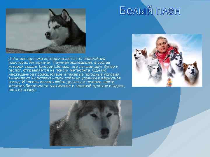 Белый плен Действие фильма разворачивается на бескрайних просторах Антарктики. Научная экспедиция, в состав которой