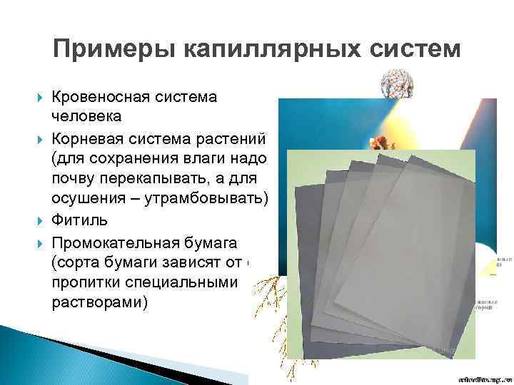 Примеры капиллярных систем Кровеносная система человека Корневая система растений (для сохранения влаги надо почву