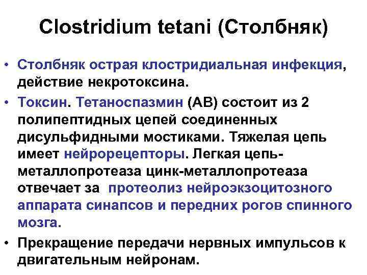 Clostridium tetani (Столбняк) • Столбняк острая клостридиальная инфекция, действие некротоксина. • Токсин. Тетаноспазмин (AB)