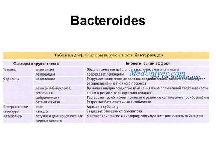 Bacteroides 