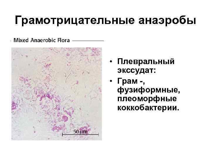 Схема лечения клостридии