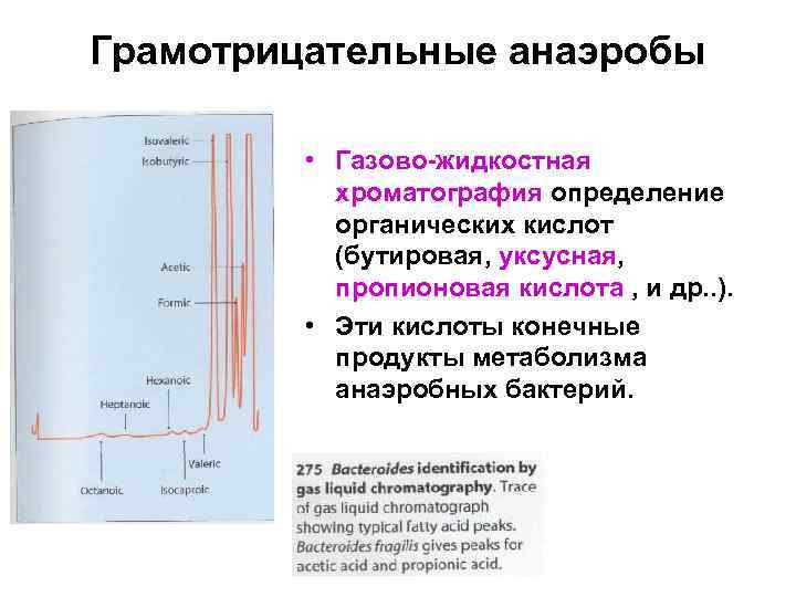 Что такое анаэробы