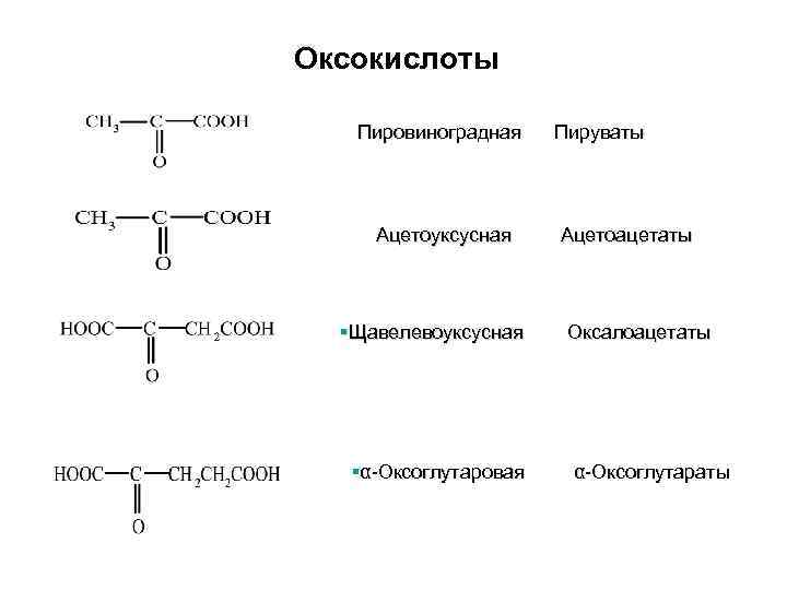 Оксокислоты Пировиноградная Пируваты Ацетоуксусная Ацетоацетаты §Щавелевоуксусная Оксалоацетаты §α-Оксоглутаровая α-Оксоглутараты 