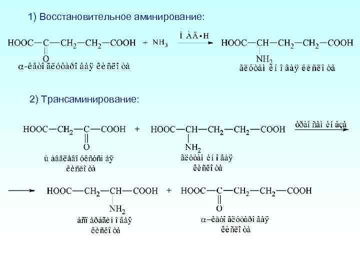 1) Восстановительное аминирование: 2) Трансаминирование: 