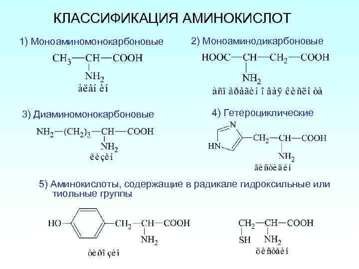 Состав радикалов аминокислот. Классификация аминокислот моноаминомонокарбоновые. Структурная классификация аминокислот. Аминокислоты содержащие гидроксильную группу. Гидроксигруппу содержат аминокислоты.