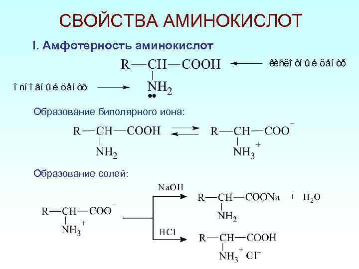 Аланин проявляет амфотерные свойства. Образование биполярного Иона аминокислот. Образование биполярного Иона аминоуксусной кислоты. Уравнение реакций подтверждающих Амфотерность аминокислот.