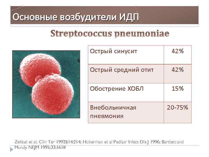 Основной возбудитель пневмонии