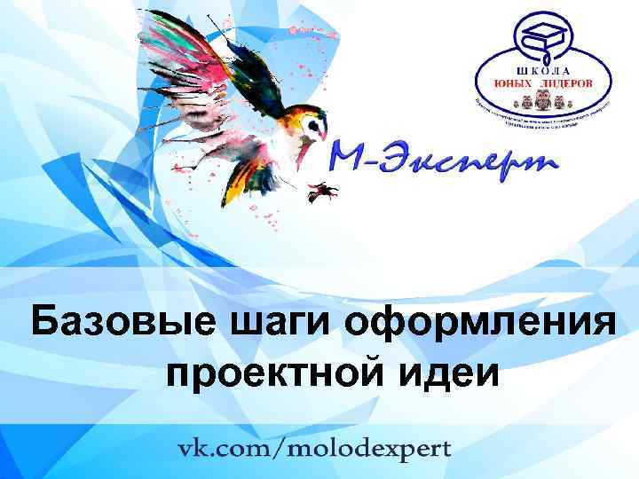Базовые шаги оформления проектной идеи 