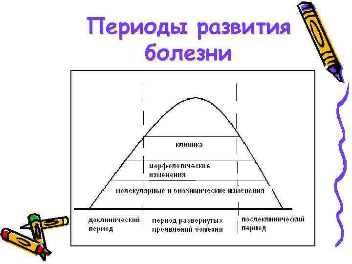 Периоды развития болезни 