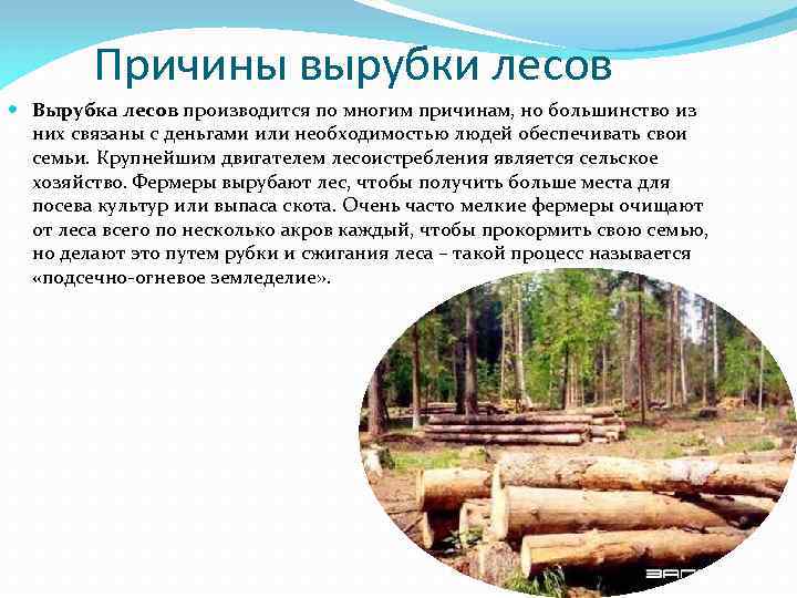 Причины вырубки лесов Вырубка лесов производится по многим причинам, но большинство из них связаны