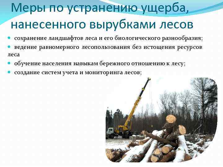 Меры по устранению ущерба, нанесенного вырубками лесов сохранение ландшафтов леса и его биологического разнообразия;