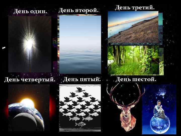 День один. День четвертый. День второй. День пятый. День третий. День шестой. 
