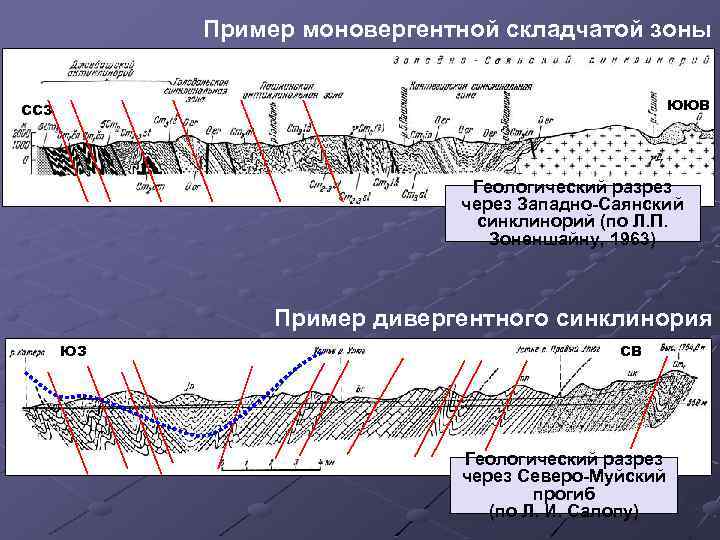 Пример моновергентной складчатой зоны ЮЮВ ССЗ Геологический разрез через Западно-Саянский синклинорий (по Л. П.