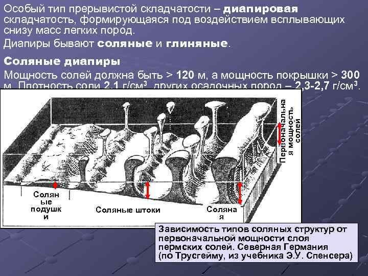 Особый тип прерывистой складчатости – диапировая складчатость, формирующаяся под воздействием всплывающих снизу масс легких