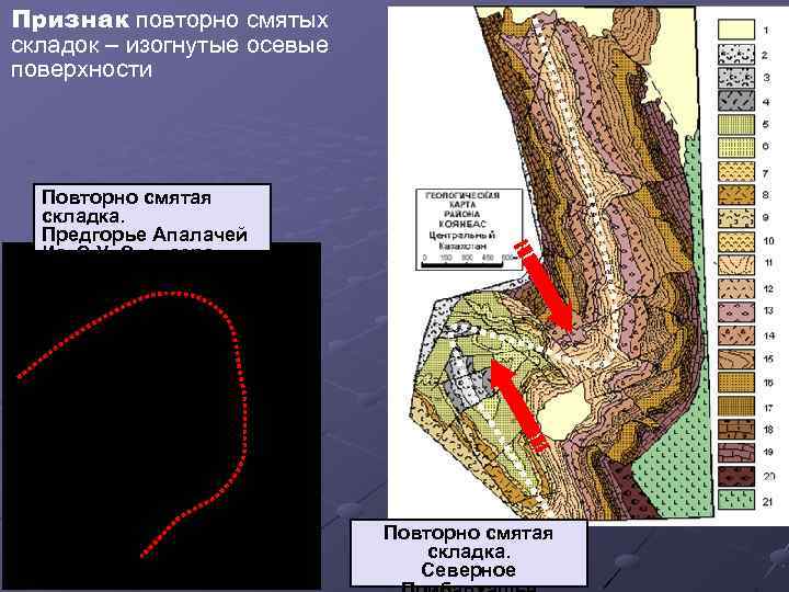 Признак повторно смятых складок – изогнутые осевые поверхности Повторно смятая складка. Предгорье Апалачей Из