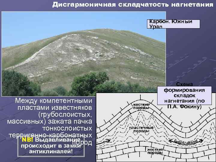 Дисгармоничная складчатость нагнетания Карбон. Южный Урал Между компетентными пластами известняков (грубослоистых, массивных) зажата пачка