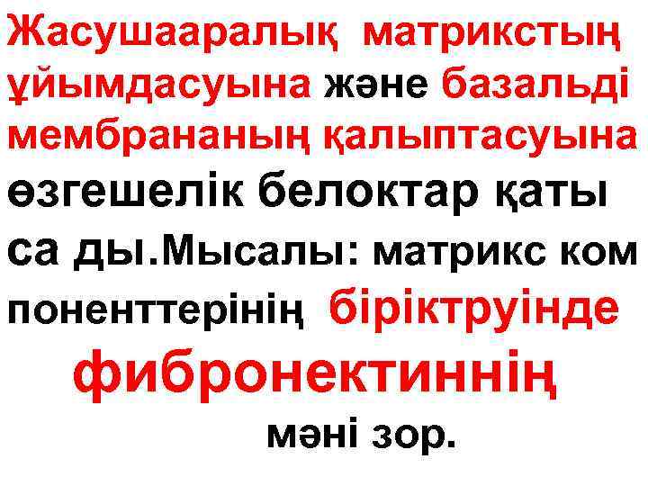 Жасушааралық матрикстың ұйымдасуына және базальді мембрананың қалыптасуына өзгешелік белоктар қаты са ды. Мысалы: матрикс