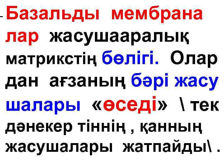 - Базальды мембрана лар жасушааралық матрикстің бөлігі. Олар дан ағзаның бәрі жасу шалары «өседі»