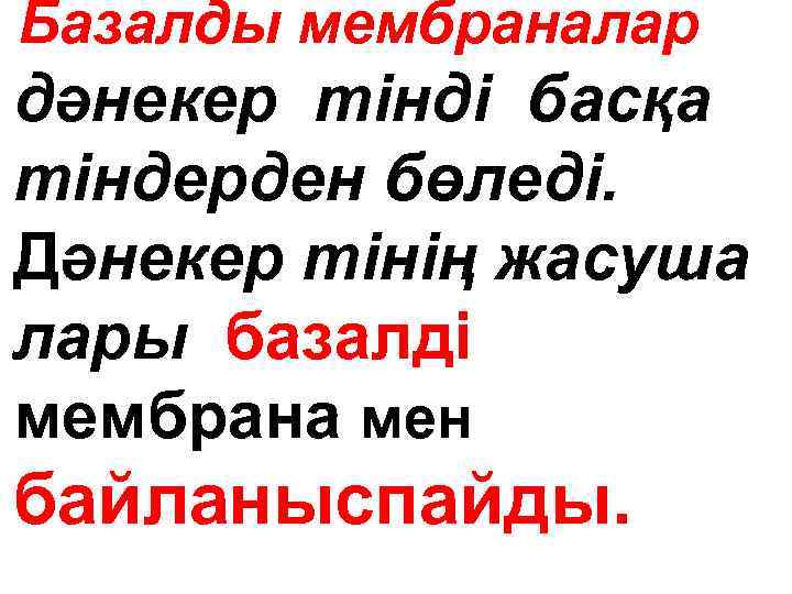 Базалды мембраналар дәнекер тінді басқа тіндерден бөледі. Дәнекер тінің жасуша лары базалді мембрана мен