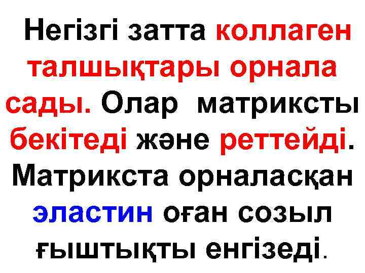 Негізгі затта коллаген талшықтары орнала сады. Олар матриксты бекітеді және реттейді. Матрикста орналасқан эластин