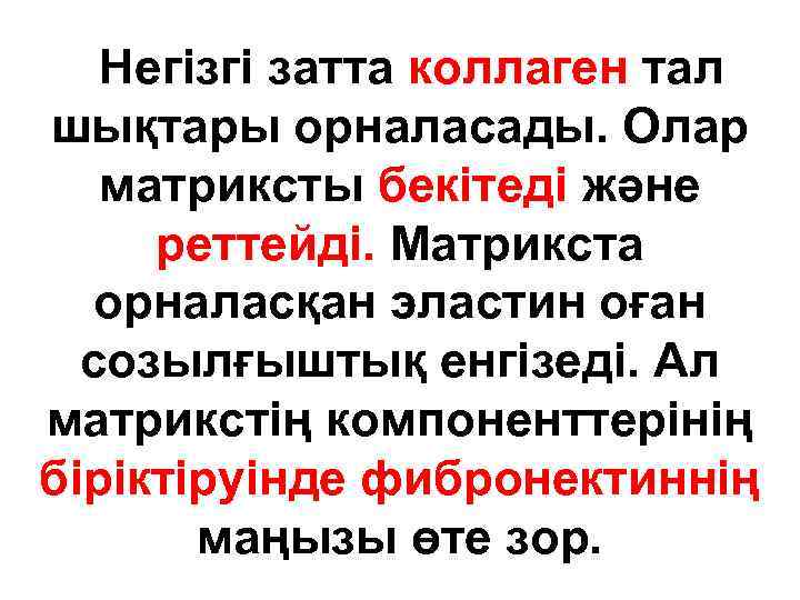 Негізгі затта коллаген тал шықтары орналасады. Олар матриксты бекітеді және реттейді. Матрикста орналасқан эластин