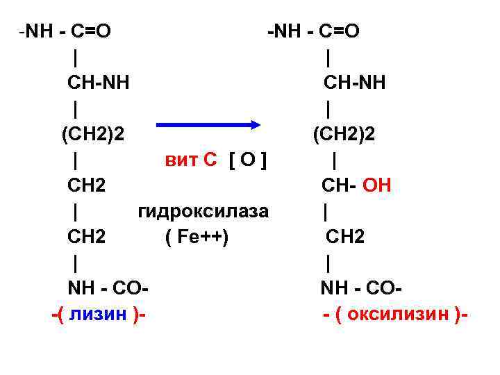 -NH - С=О | | СН-NH | | (СН 2)2 | вит С [