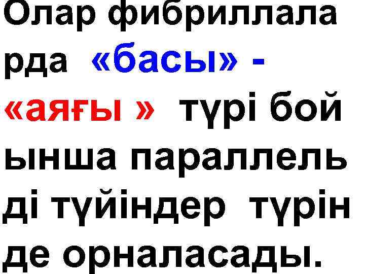 Олар фибриллала рда «басы» - «аяғы » түрі бой ынша параллель ді түйіндер түрін