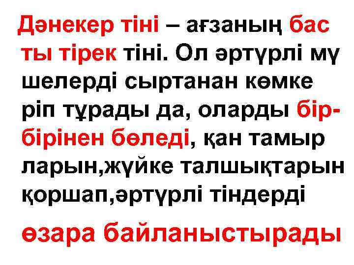 Дәнекер тіні – ағзаның бас ты тірек тіні. Ол әртүрлі мү шелерді сыртанан көмке