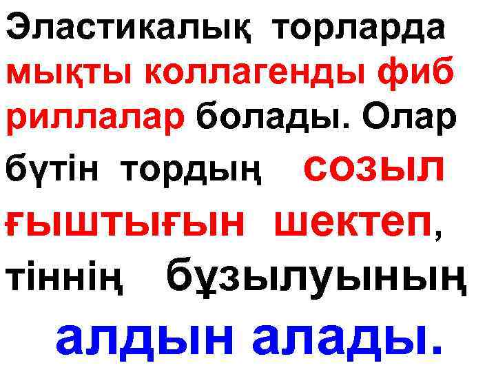 Эластикалық торларда мықты коллагенды фиб риллалар болады. Олар бүтін тордың созыл ғыштығын шектеп, тіннің