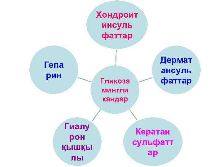 Хондроит инсуль фаттар Гепа рин Гиалу рон қышқы лы Гликоза мингли кандар Дермат ансуль