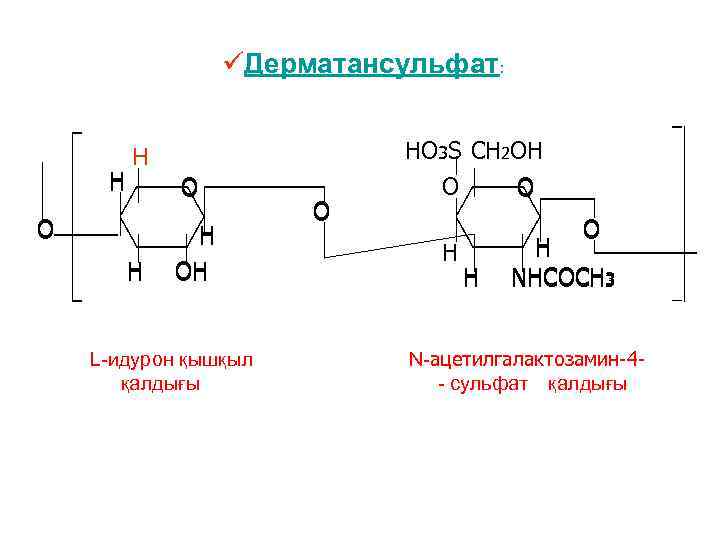 üДерматансульфат: H H O O H H OH L-идурон қышқыл қалдығы O HO 3