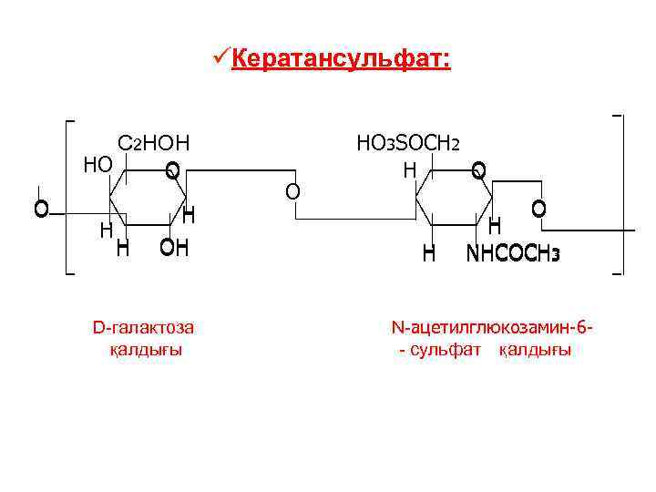 üКератансульфат: C 2 HОH HO O O H H H OH D-галактоза қалдығы O