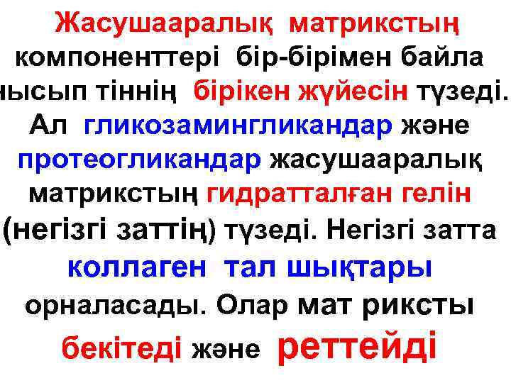 Жасушааралық матрикстың компоненттері бip-бipiмен байла нысып тіннің бipiкен жүйесін түзеді. Ал гликозамингликандар және протеогликандар