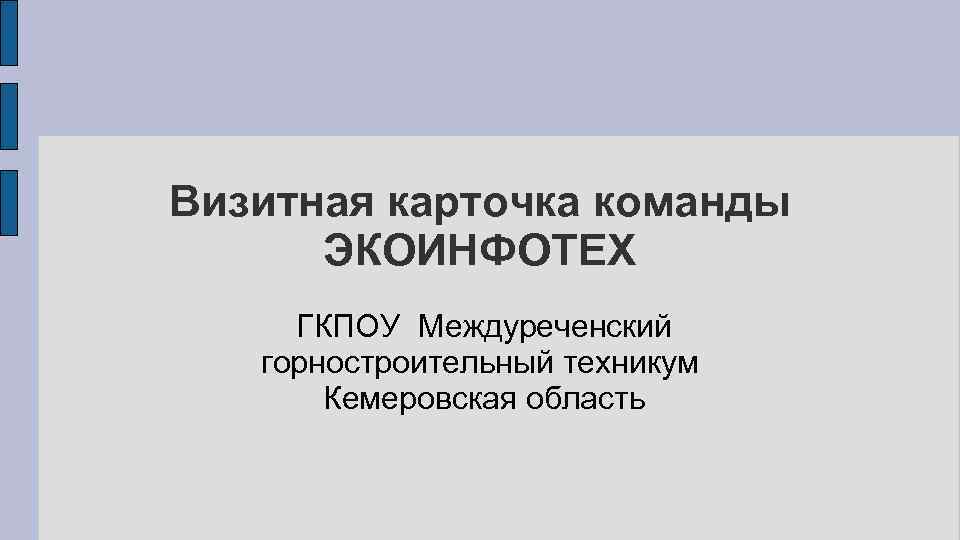 Визитная карточка команды ЭКОИНФОТЕХ ГКПОУ Междуреченский горностроительный техникум Кемеровская область 