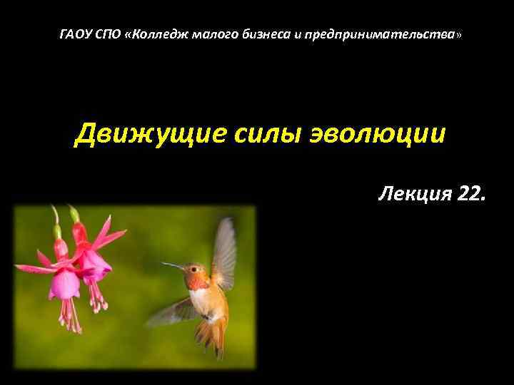 ГАОУ СПО «Колледж малого бизнеса и предпринимательства» Движущие силы эволюции Лекция 22. 