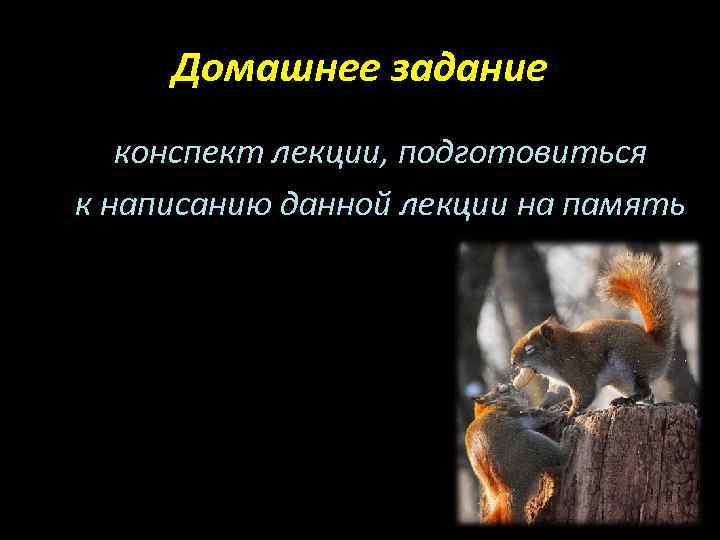 Домашнее задание конспект лекции, подготовиться к написанию данной лекции на память 