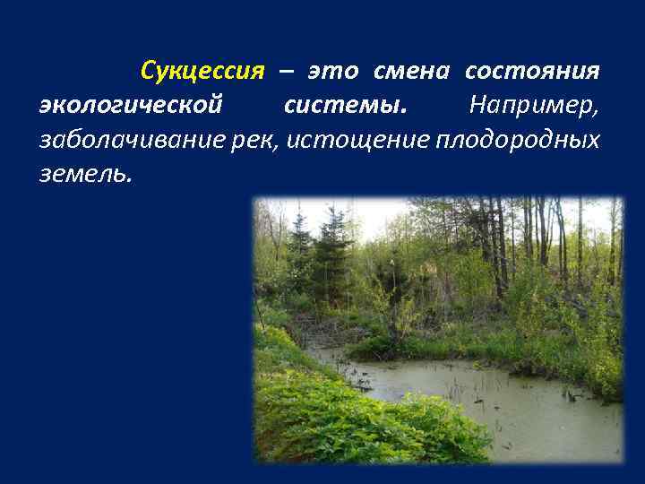 Сукцессия – это смена состояния экологической системы. Например, заболачивание рек, истощение плодородных земель. 